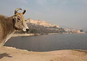 turistipercaso rajasthan-bmvtz