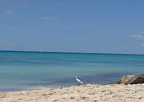 turistipercaso repubblica-dominicana-k88cg