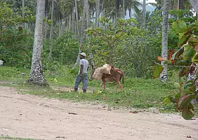 turistipercaso repubblica-dominicana-n4b58