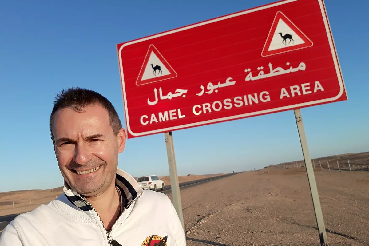 camels