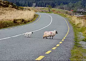 turistipercaso ring-of-kerry-cbuc2