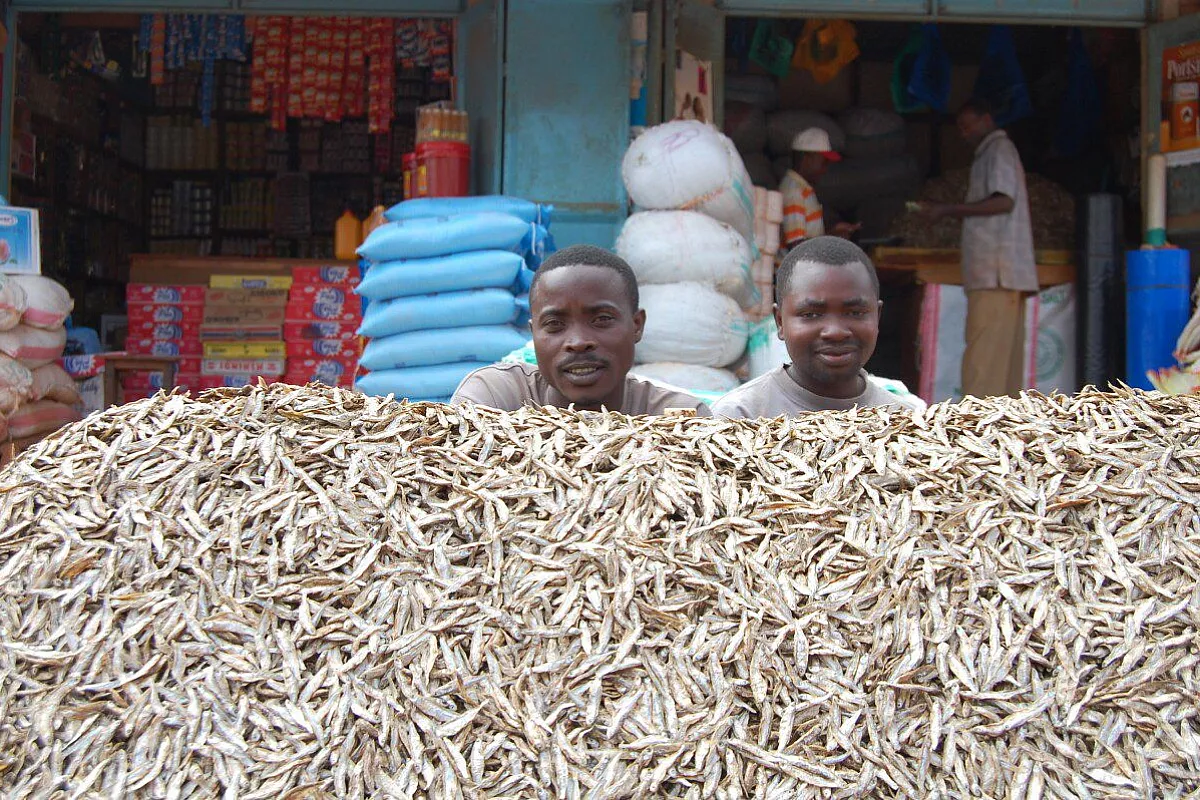 Zanzibar : per non dimenticare!!