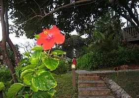 turistipercaso roatan-mare-csed4