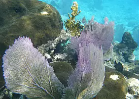 turistipercaso roatan-mare-dqpn2
