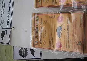 turistipercaso roatan-mare-wbdg6