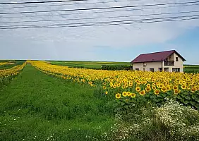 turistipercaso romania-j25x3