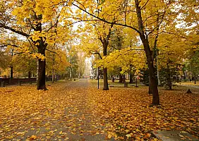 turistipercaso rovaniemi-themepark-xbywf