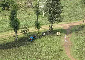 turistipercaso ruanda-m5g9c