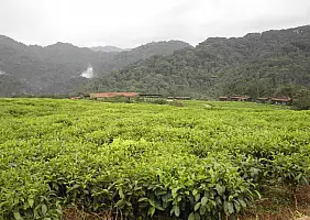 turistipercaso ruanda-p5g44