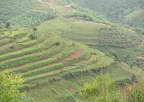 turistipercaso ruanda-tpwd6