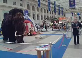 turistipercaso russia-gsqut
