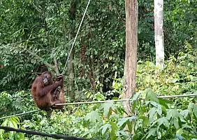 turistipercaso sabah-d3sx5