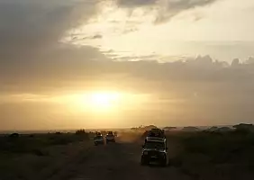 turistipercaso safari-psxuk