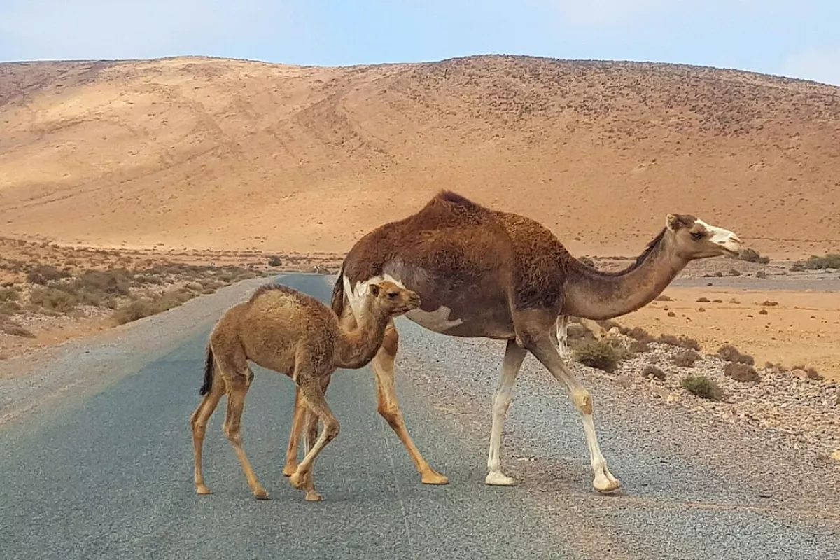 incontri
