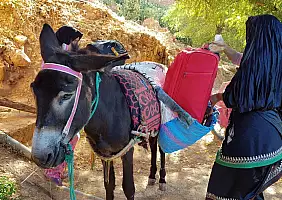 turistipercaso sahara-occidentale-bvw3r
