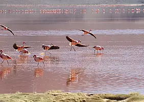 turistipercaso salar-de-uyuni-lago-661m8