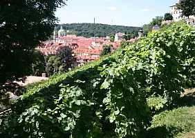 turistipercaso salisburgo-themepark-k8kz2