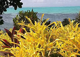 turistipercaso samoa-1z8a5