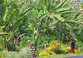 turistipercaso samoa-8k5rj