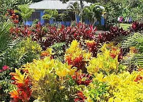 turistipercaso samoa-fqpb2