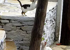 turistipercaso samos-ph2rv