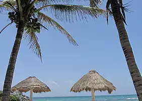 turistipercaso san-cristobal-mercato-streetfood-fnqfd