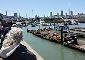 turistipercaso san-francisco-ristorante-z58x9