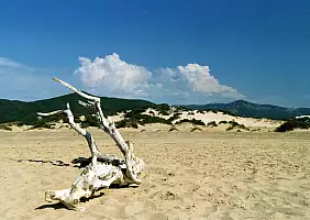 turistipercaso sardegna-4dfzz