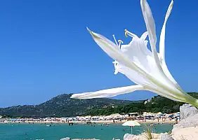 turistipercaso sardegna-8ec3b