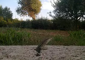 turistipercaso sardegna-e1v9g