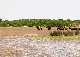 turistipercaso sardegna-j8zg2