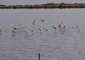 turistipercaso sardegna-j9f8w