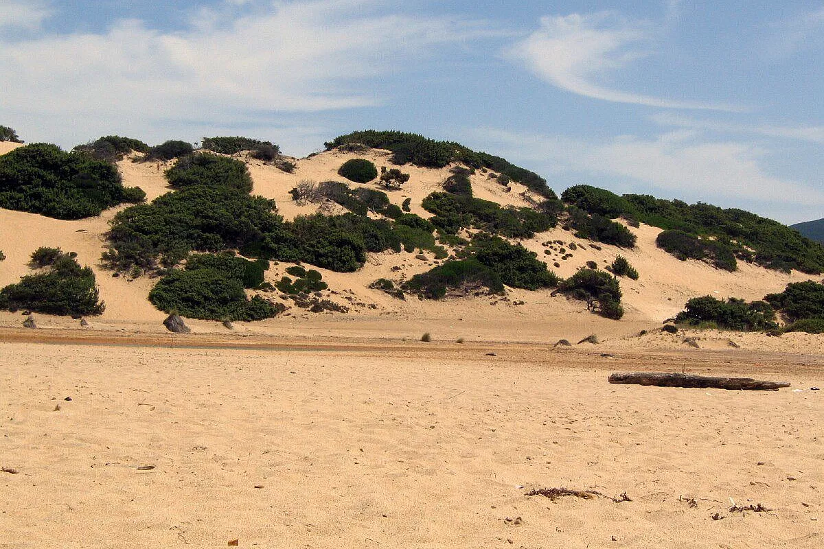 Costa Verde