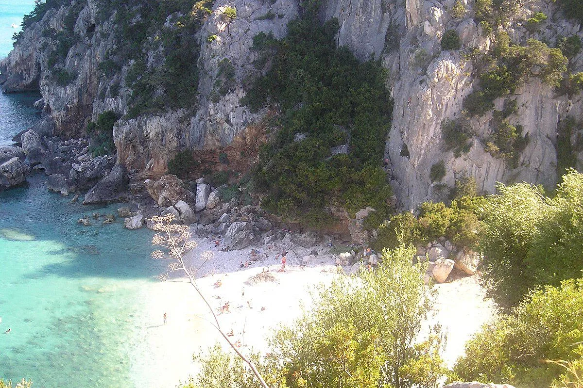 Sardegna ovunque tu andrai sarà un successo!
