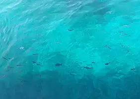 turistipercaso sardegna-ua2zf