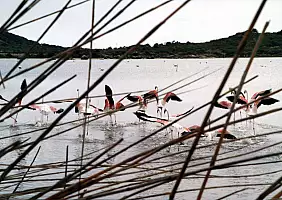 turistipercaso sardegna-xd9xj