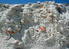 turistipercaso scozia-5qczg