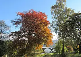 turistipercaso scozia-aytne