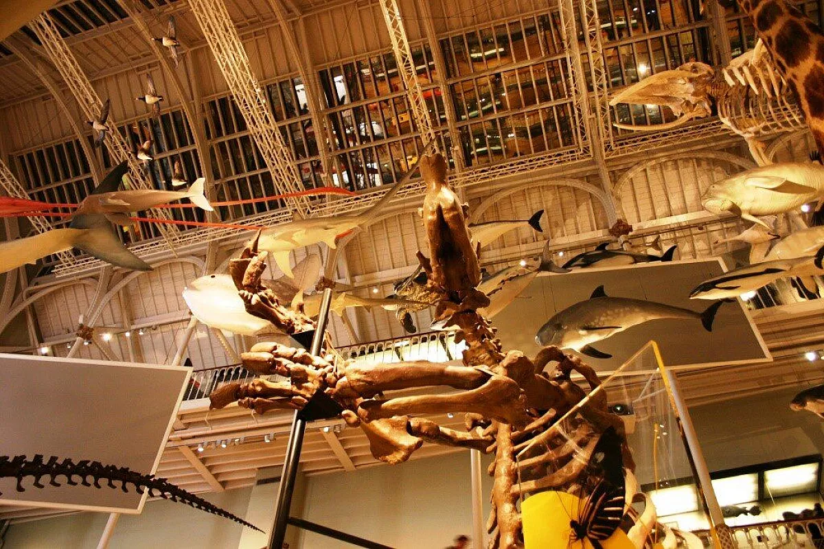 The National Museum of Scotland