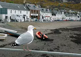 turistipercaso scozia-r5psq