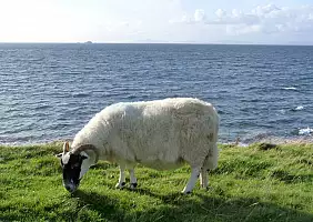 turistipercaso scozia-tdbzj