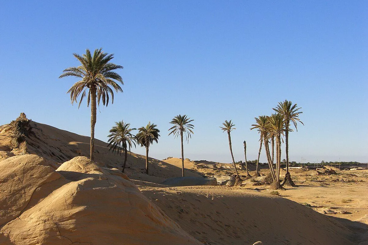 Djerba: che delusione