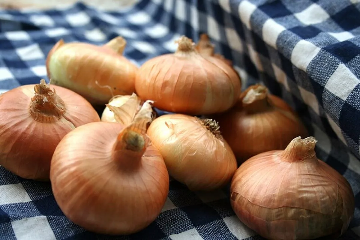 Riso e cipolla