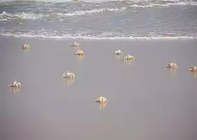 turistipercaso senegal-anrta