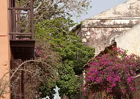 turistipercaso senegal-n77q7