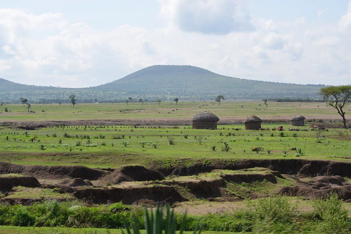 Safari in Tanzania del Nord