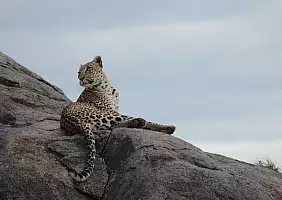 turistipercaso serengeti-e-ngorongoro-w562k