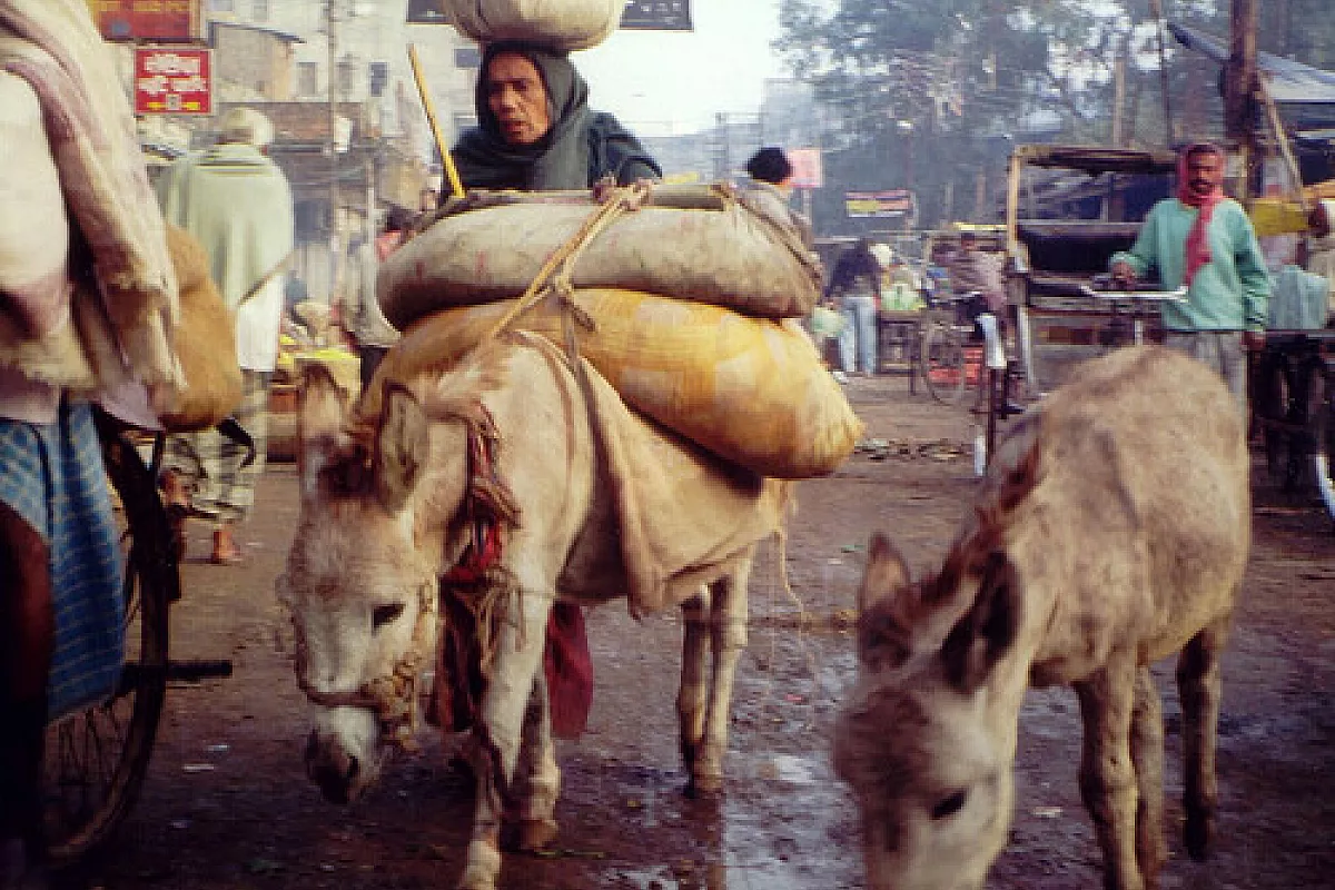 “Settemilamiglialontano”: una carovana nomade dall’India all’Italia