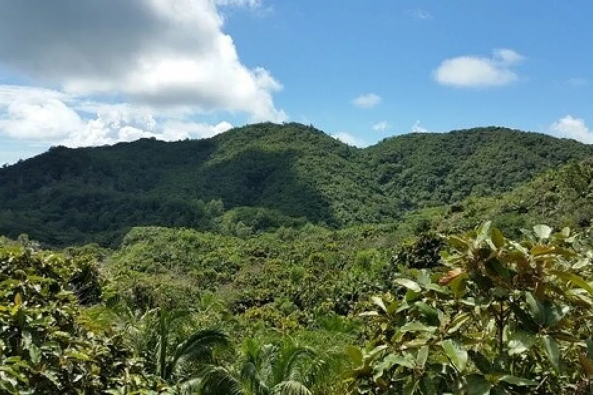 Destinazione paradiso di andata e ritorno: Seychelles
