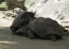 turistipercaso seychelles-1-r4xka